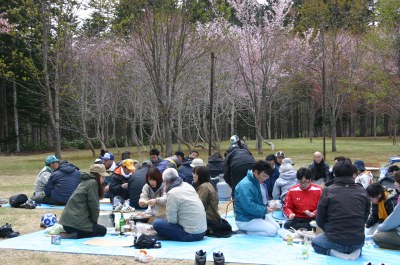 さくらまつり会場