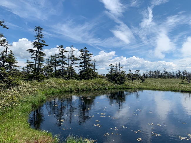 松山湿原