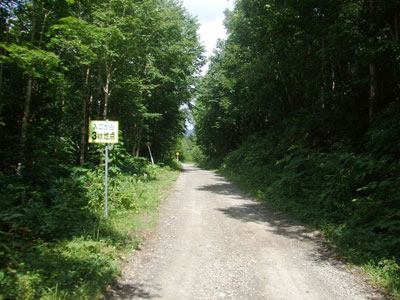 函岳林道3キロメートル地点の写真