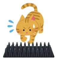 猫よけ