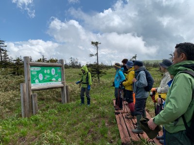 湿原